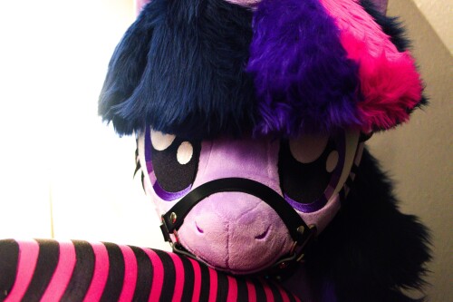 DSCF4790.jpg