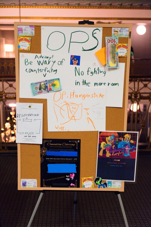 DSCF5076.jpg