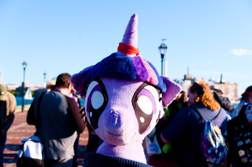 DSCF5114.jpg