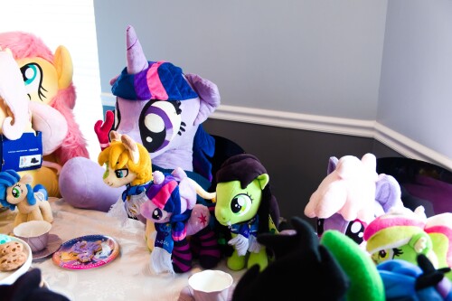 DSCF5545.jpg