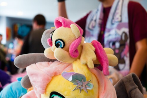 DSCF5566.jpg