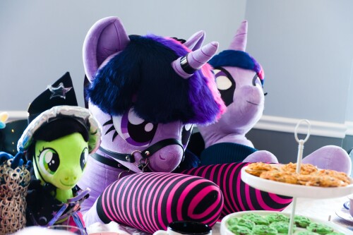 DSCF5593.jpg