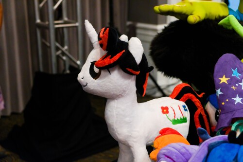 DSCF5671.jpg