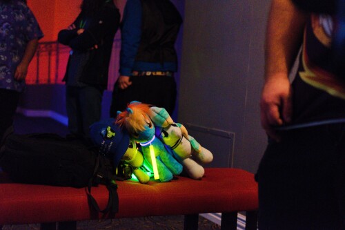 DSCF5998.jpg